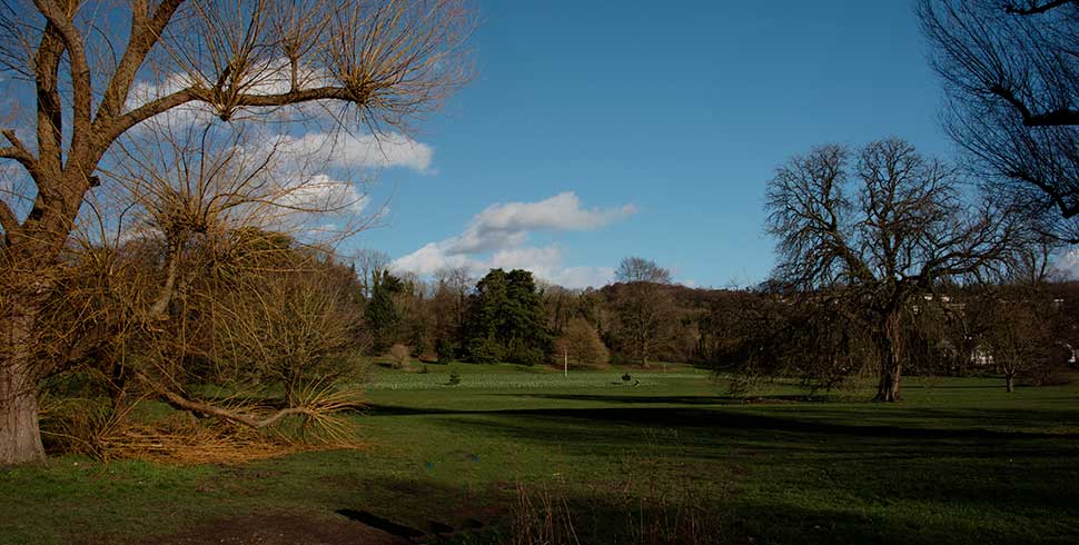 Landscapes Gallery